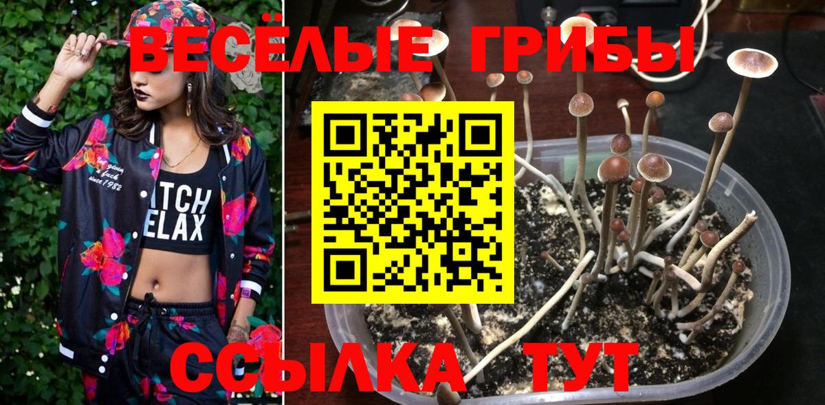 цена   Галлюциногенные грибы мицелий  Вход с VPN  Калуга  Галлюциногенные грибы прущие грибы 