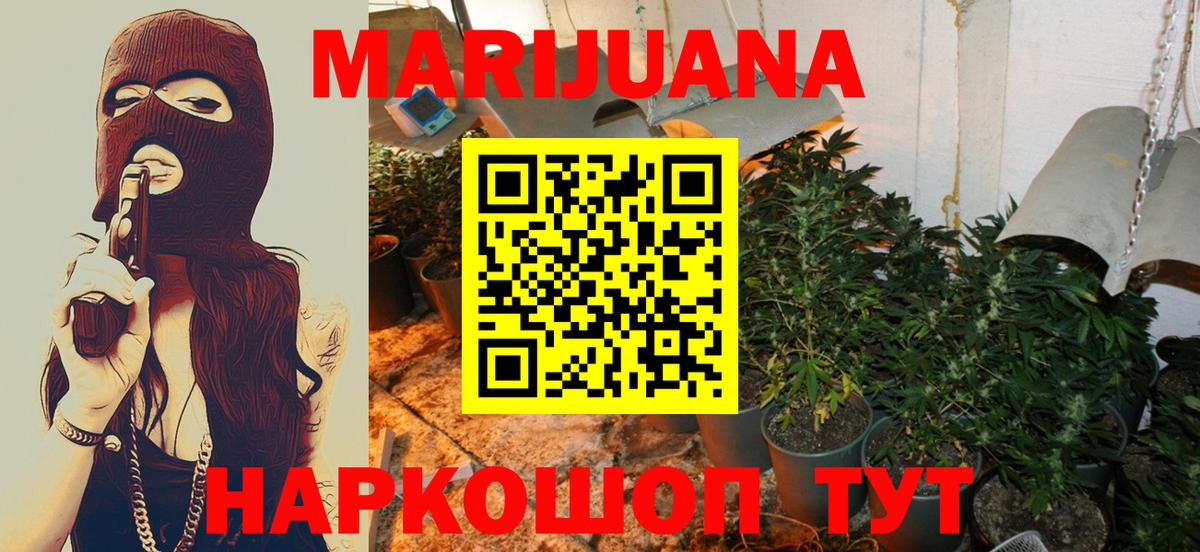 Шишки марихуана OG Kush Калуга